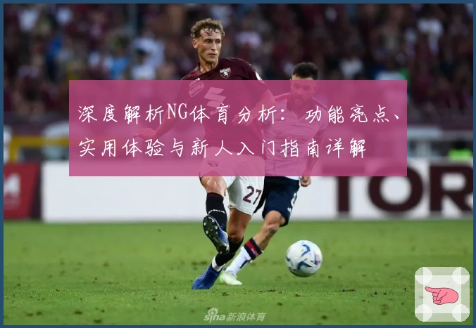 深度解析NG体育分析：功能亮点、实用体验与新人入门指南详解