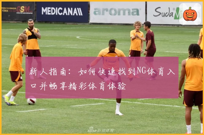 新人指南：如何快速找到NG体育入口并畅享精彩体育体验