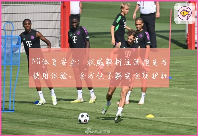 NG体育安全：权威解析注册指南与使用体验，全方位了解安全防护机制