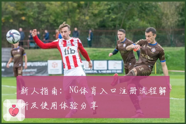 新人指南：NG体育入口注册流程解析及使用体验分享