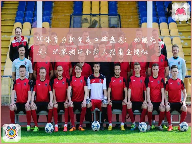 NG体育分析年度口碑盘点：功能亮点、玩家测评和新人指南全揭秘