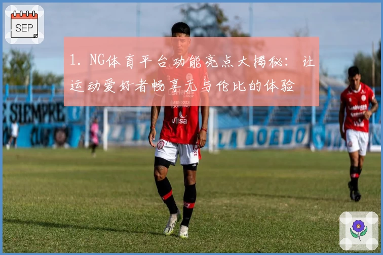 1. NG体育平台功能亮点大揭秘:让运动爱好者畅享无与伦比的体验
