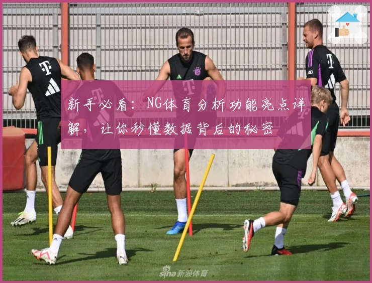 新手必看：NG体育分析功能亮点详解，让你秒懂数据背后的秘密