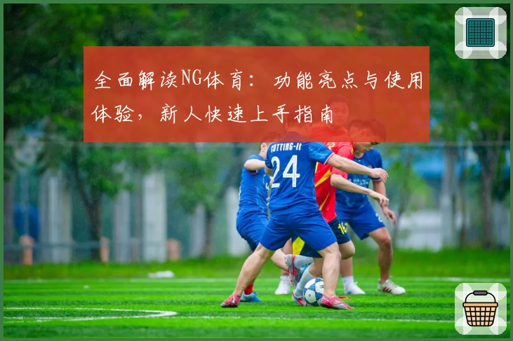 全面解读NG体育：功能亮点与使用体验，新人快速上手指南