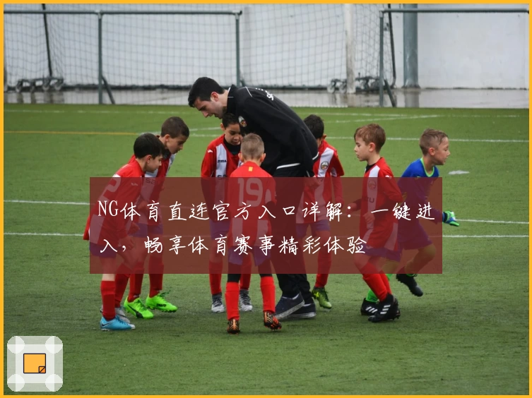 NG体育直连官方入口详解：一键进入，畅享体育赛事精彩体验