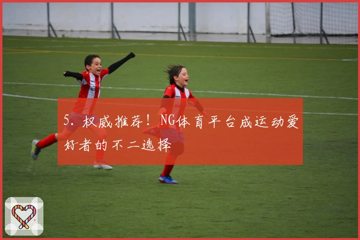 5. 权威推荐！NG体育平台成运动爱好者的不二选择