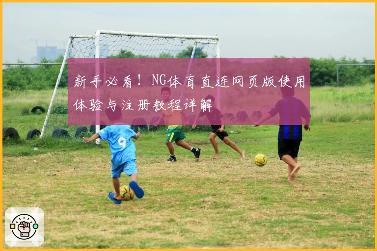 新手必看!NG体育直连网页版使用体验与注册教程详解