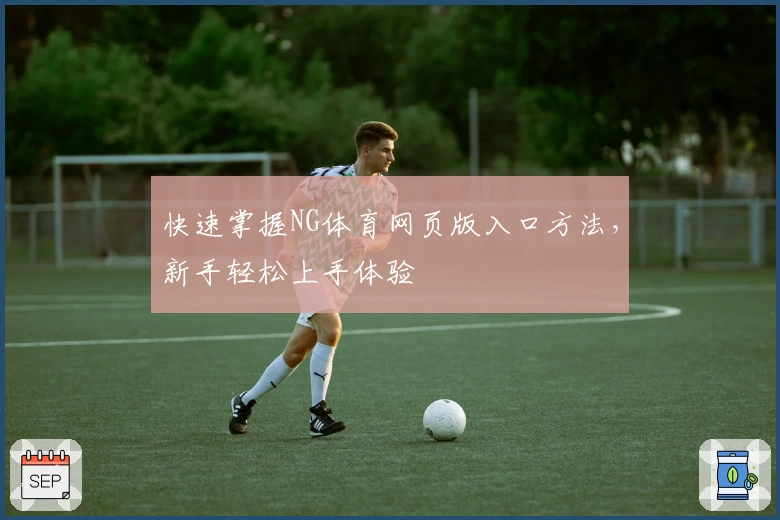 快速掌握NG体育网页版入口方法，新手轻松上手体验