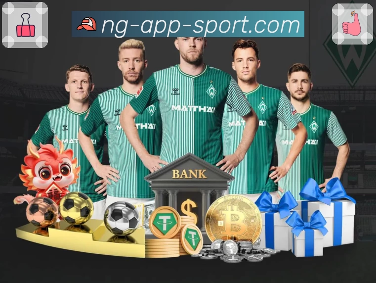 NG体育平台介绍