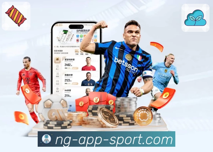 NG体育 App 展示图